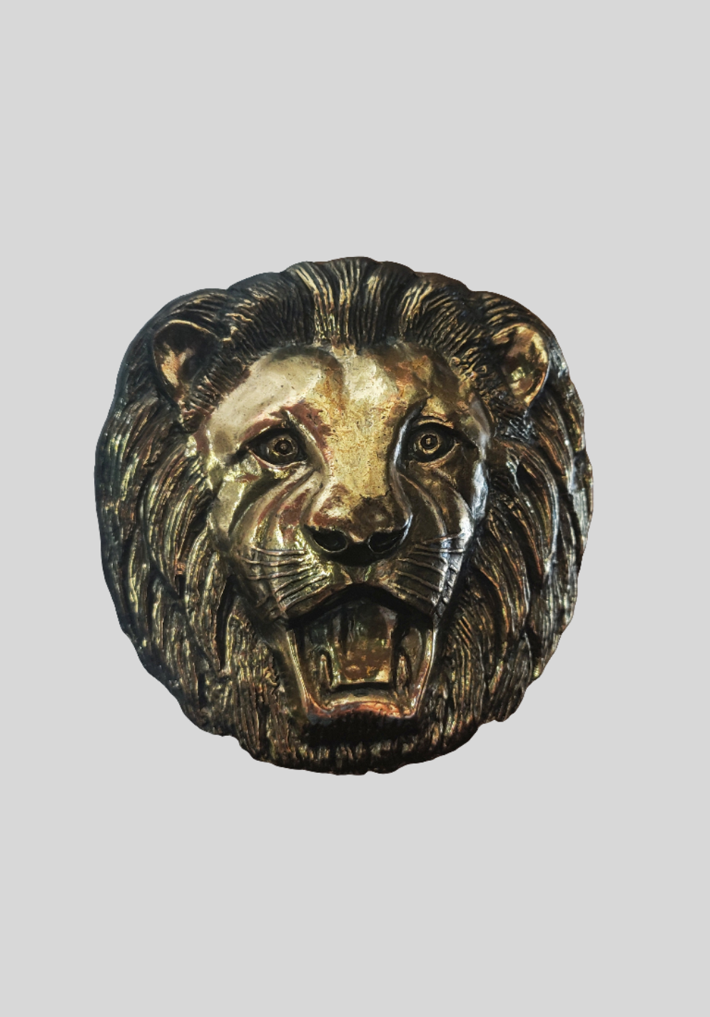 Stupendous Lion Belt