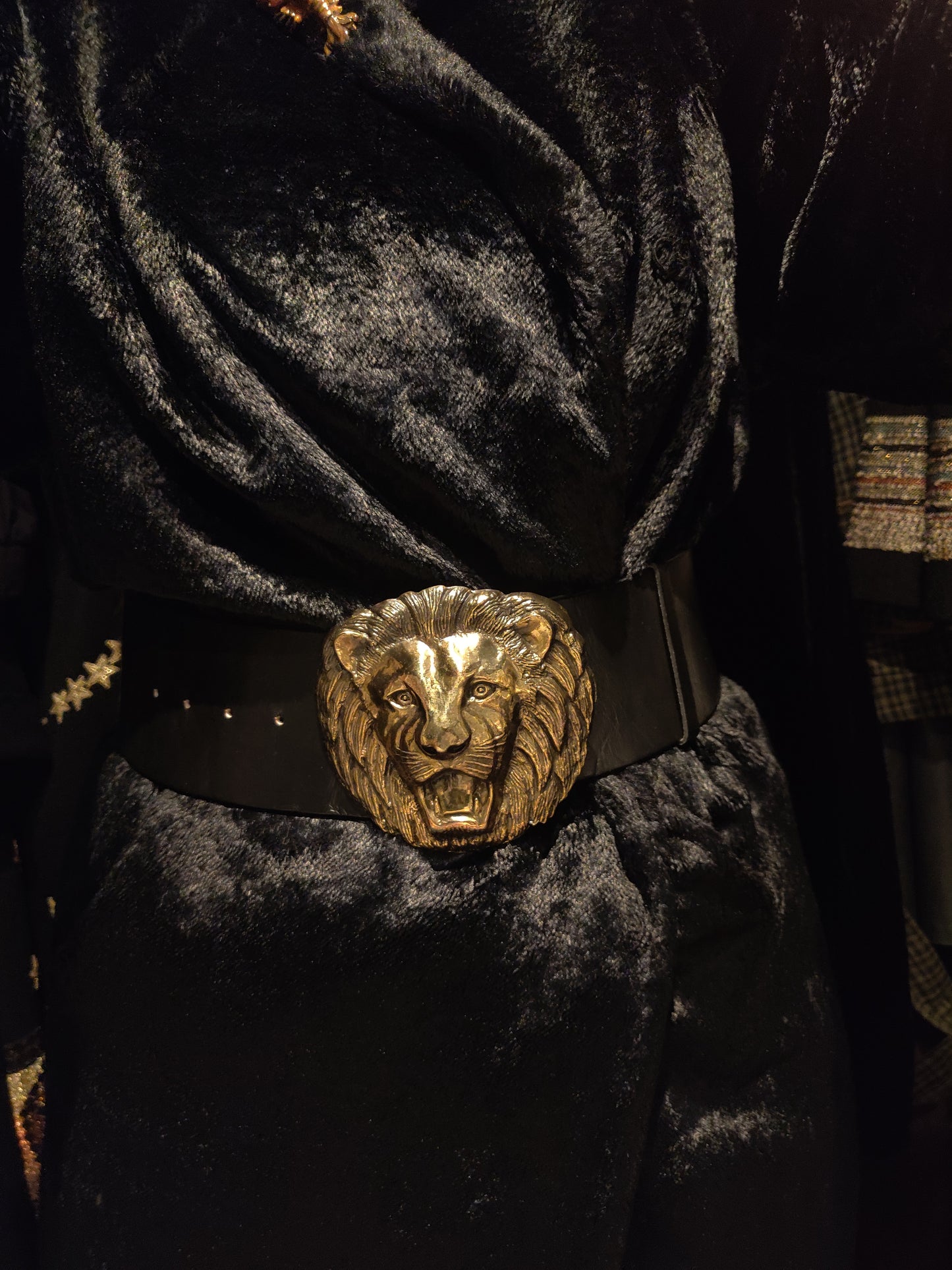 Stupendous Lion Belt