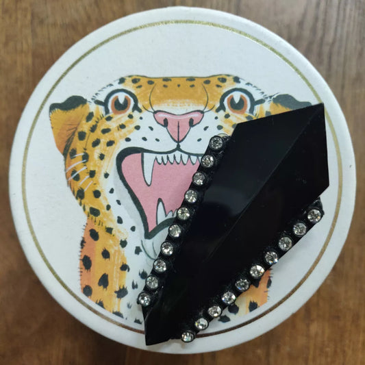 1979 Jean-Louis Scherrer Brooch