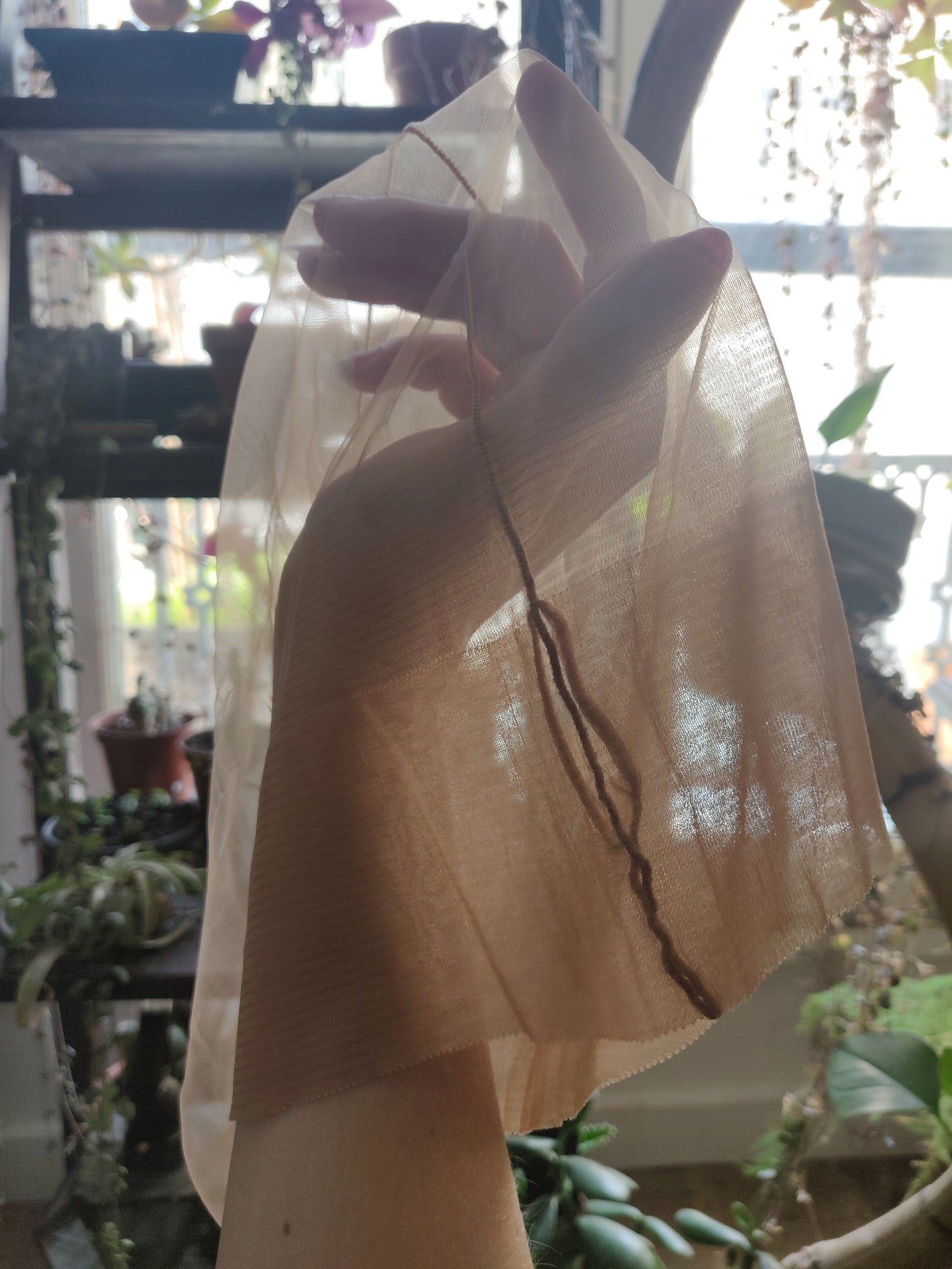 1950s Deadstock Lanvin Castillo Stockings with René Gruau Artwork Packaging