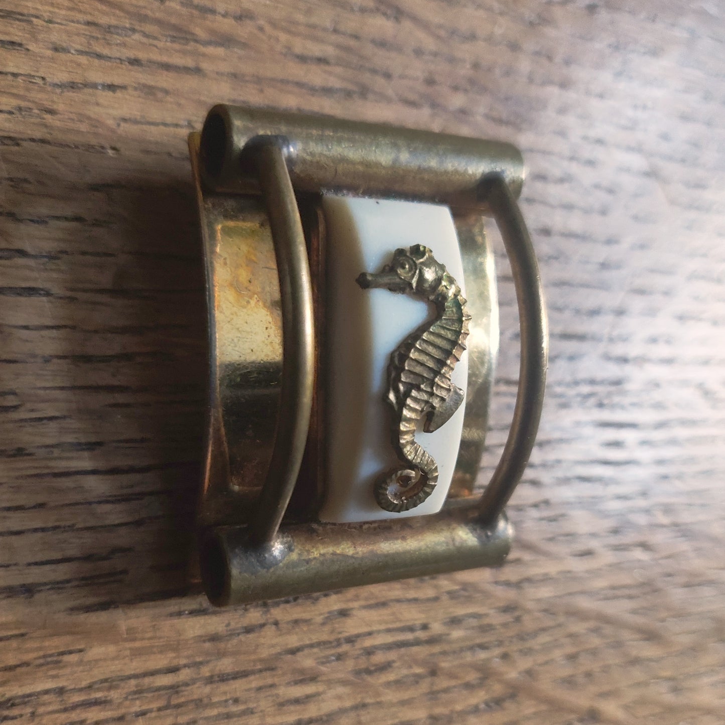 1930s Art Deco Painlevé Seahorse Clip - White Galalith and Brass