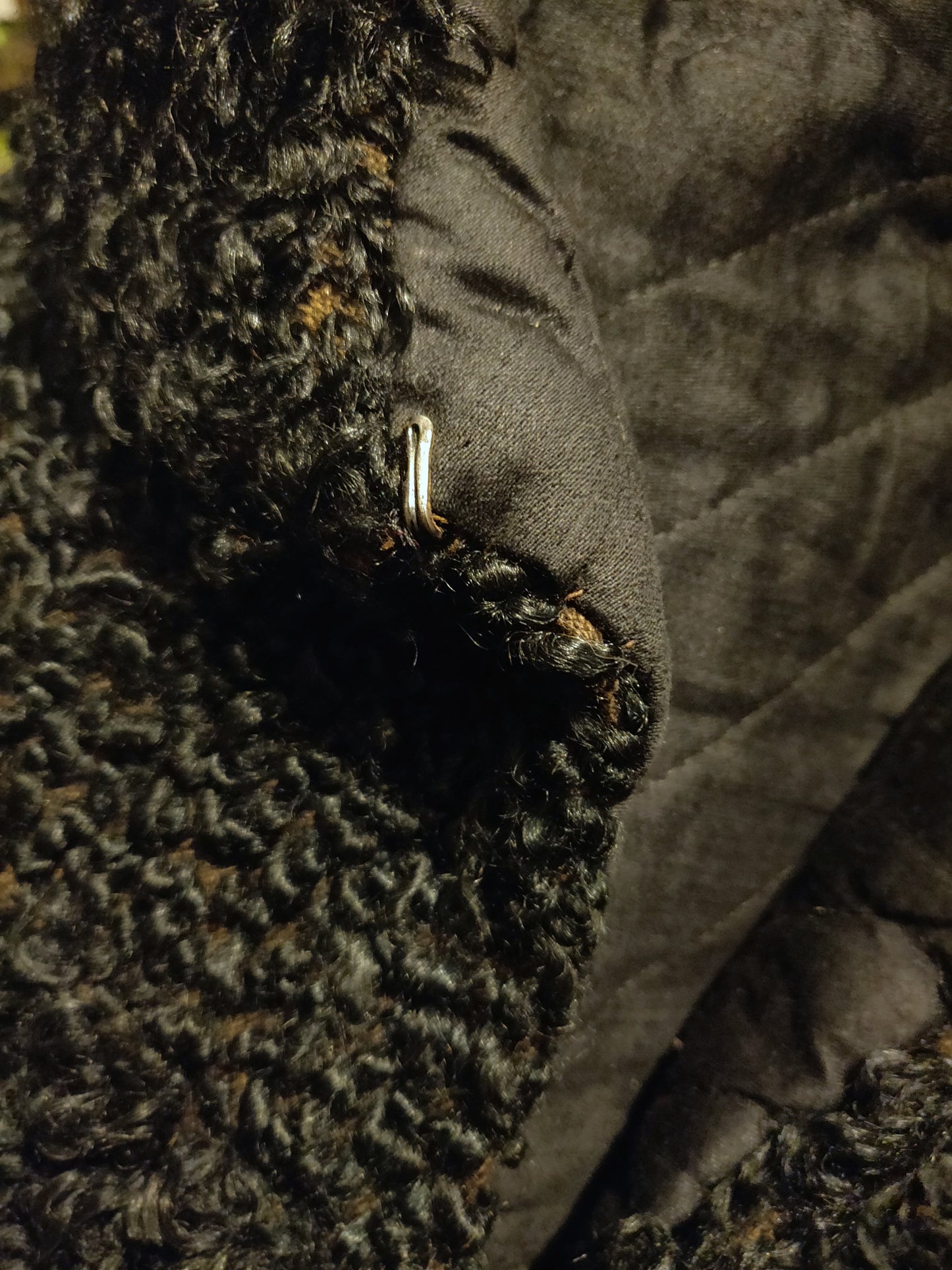 Victorian Faux Astrakhan Shoulder Capelet