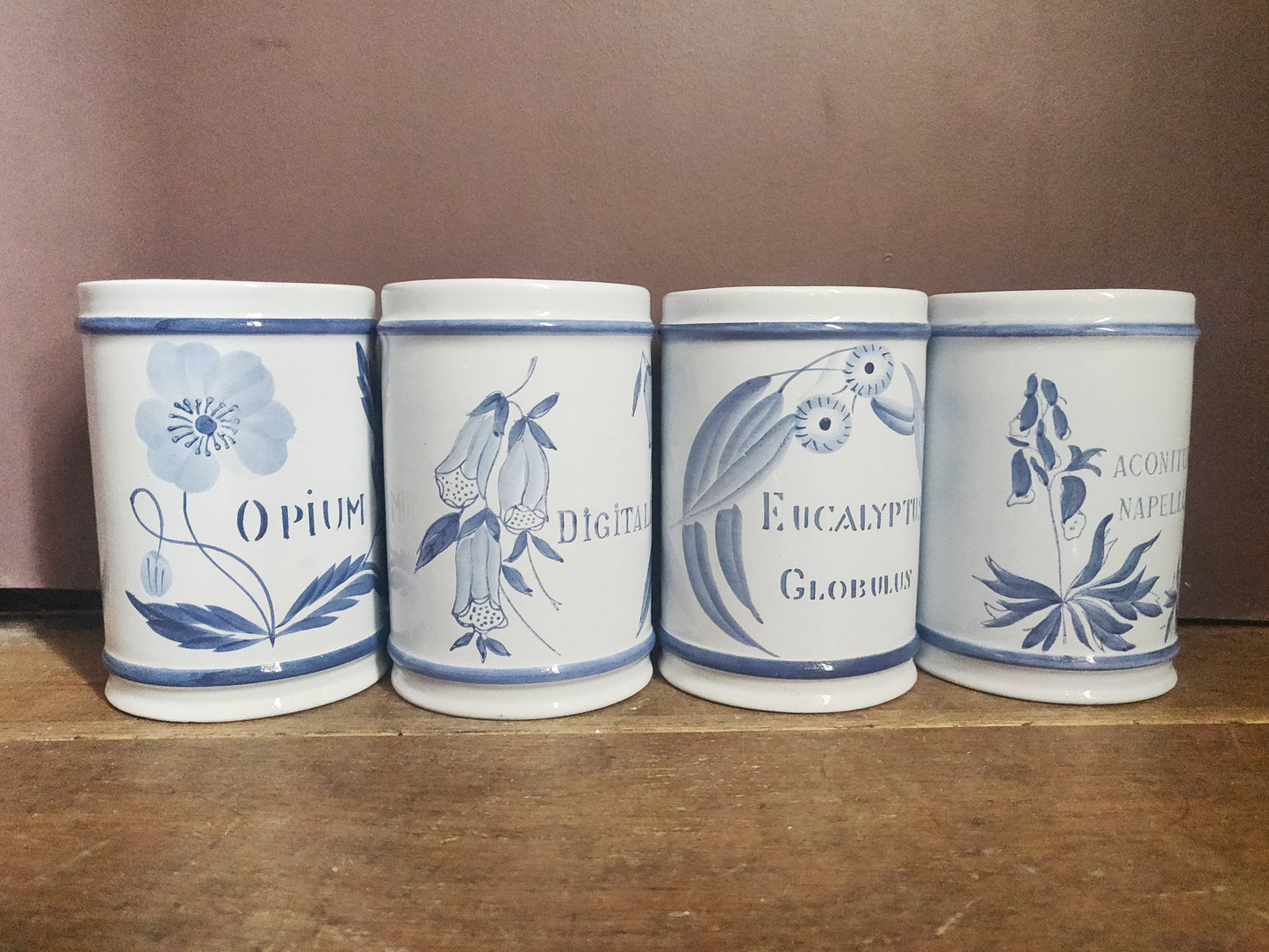 1960s French Apothecary Jars - Opium, Aconitum, Digitalis, Eucalyptus