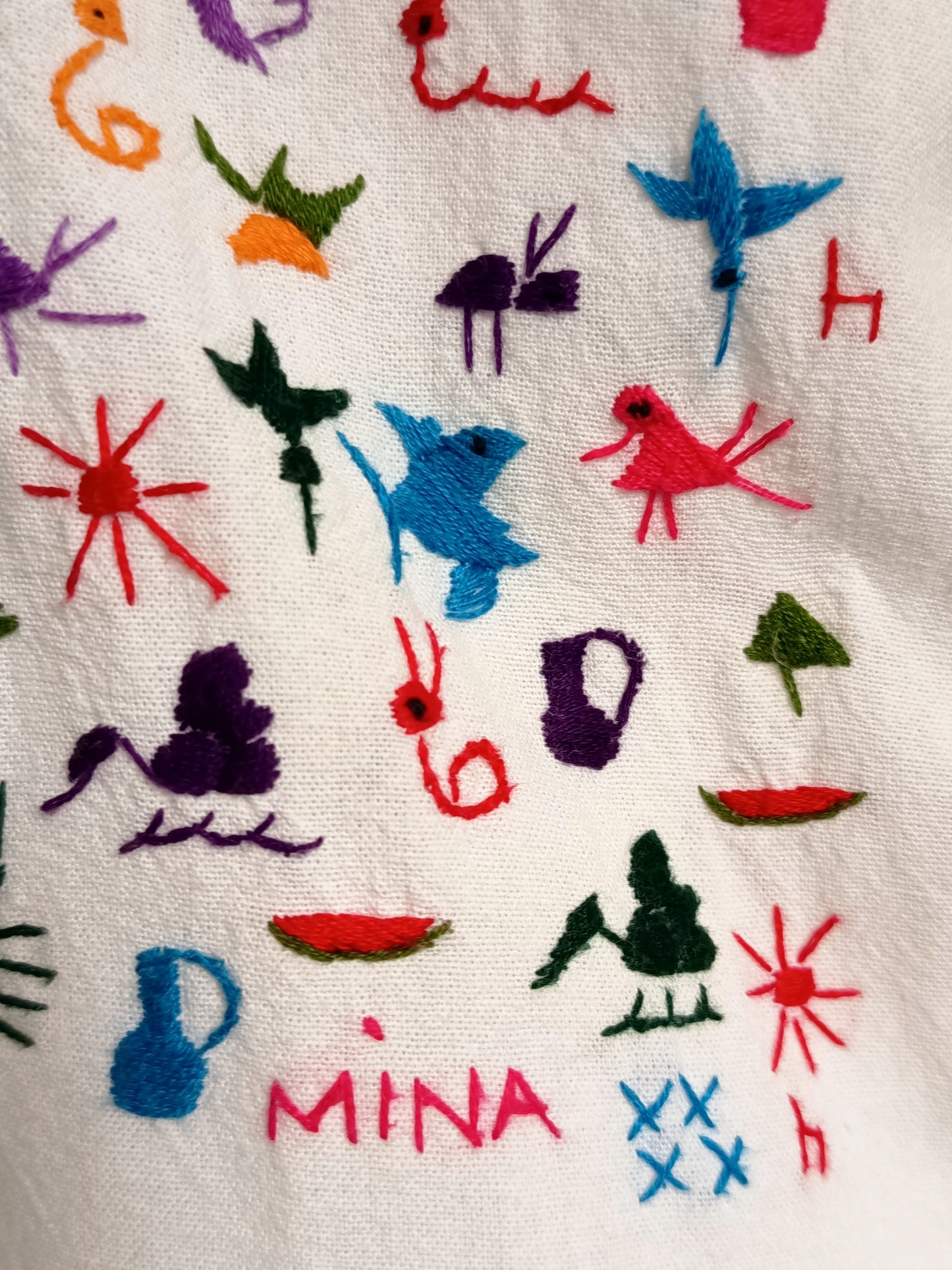 Whimsical Hand Embroidered Cotton Dress
