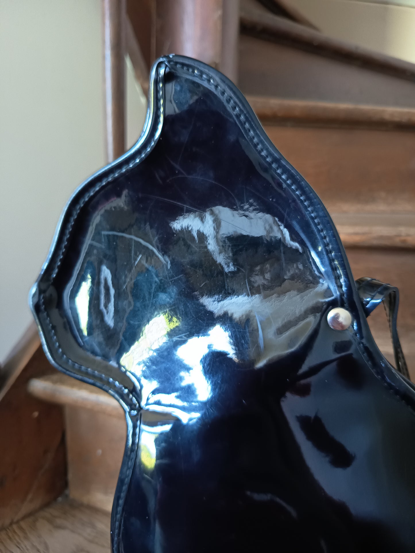 Cat Purse by Betty Dumoulin
