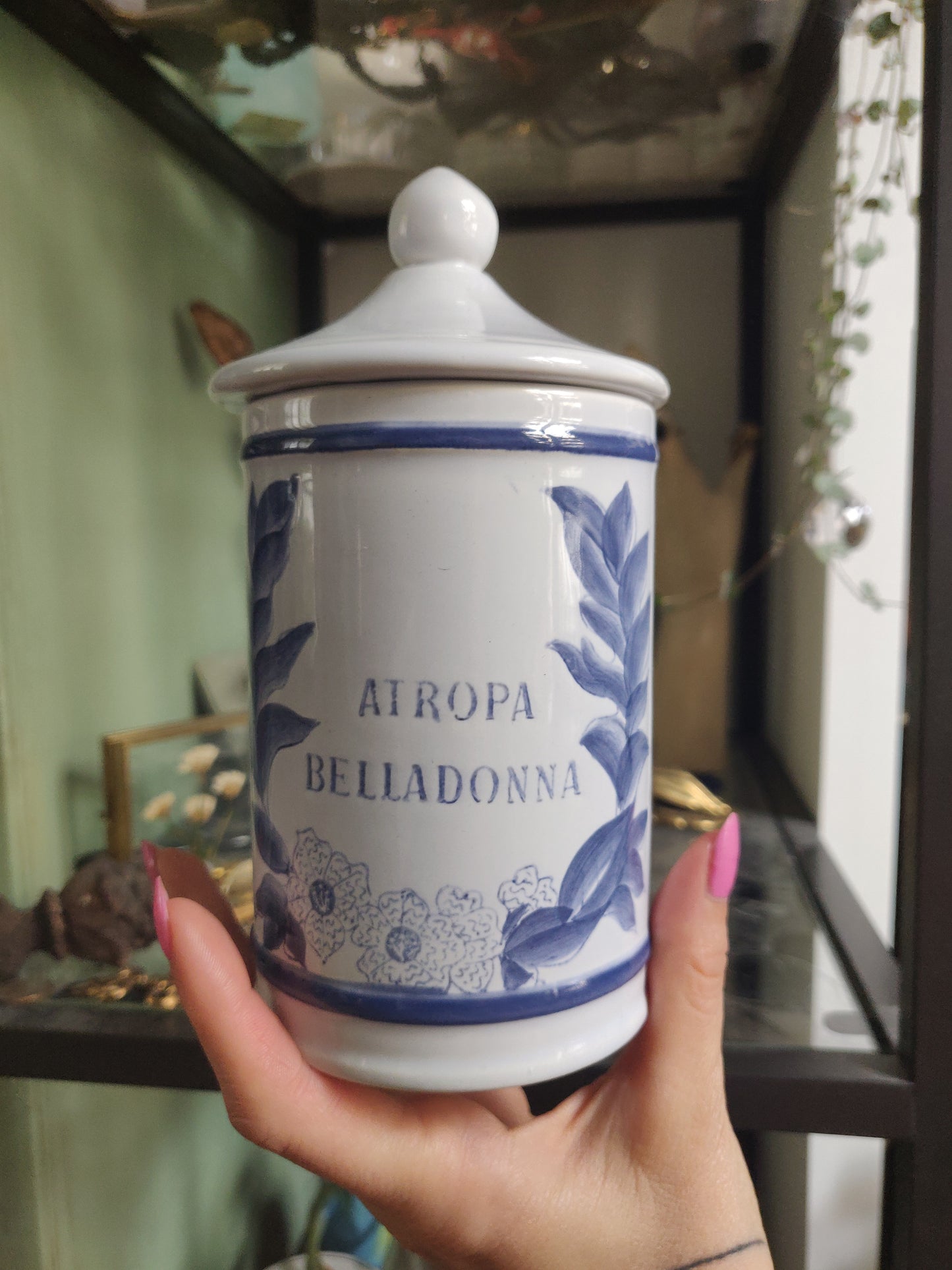 1960s French Apothecary Jar Atropa Belladonna