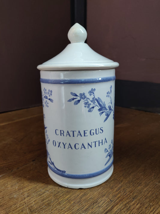 1960s French Apothecary Jar - Crataegus Oxyacantha (Hawthorn)